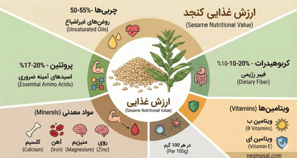 ارزش غذایی کنجد - خواص کنجد
